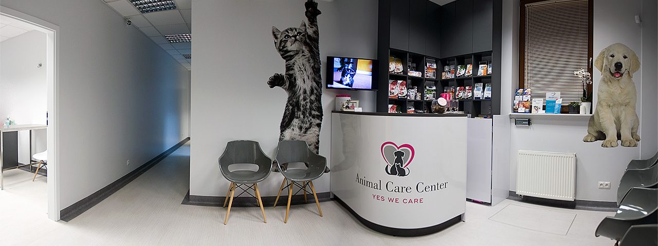 Recepcja Weterynarz Wilanów - Animal Care Center