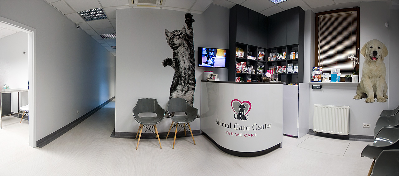 Recepcja Weterynarz Wilanów - Animal Care Center
